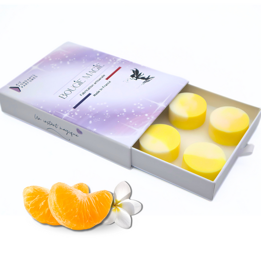 Coffret 6 fondants parfumés - Clémentine Monoï